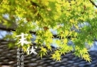 ĩʱ